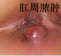 4-120524114H5U9.jpg