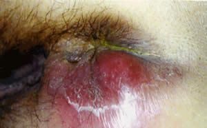 201100322_kfx_07.jpg