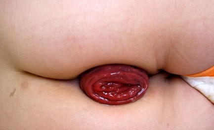 QQ截图20121014142447.jpg