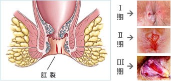 20121010144851.jpg