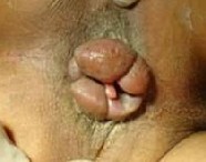 QQ截图20121016115231.jpg