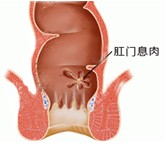 QQ截图20121016185635.jpg