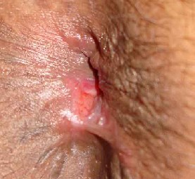 QQ截图20121016120216.jpg