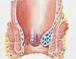 搜狗浏览器截图(2).jpg